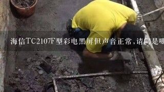 海信TC2107F型彩电黑屏但声音正常,请问是哪里坏了