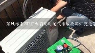 东风标志207打火启动时尾气排放故障灯亮是怎么回事