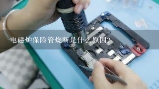 电磁炉保险管烧断是什么原因？