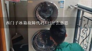 西门子冰箱故障代码E11什么意思