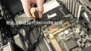 奥迪q5报故障码p001600难起动