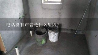 电话没有声音是什么原因？