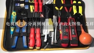 电视机伴音分离到视放，有声音无图像，怎样维修