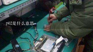 p02是什么意思