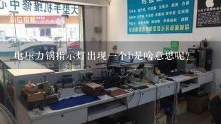 电压力锅指示灯出现一个b是啥意思呢？