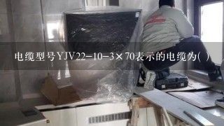 电缆型号YJV22-10-3×70表示的电缆为( )