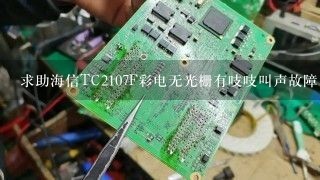 求助海信TC2107F彩电无光栅有吱吱叫声故障