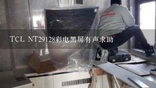 TCL NT29128彩电黑屏有声求助