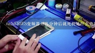 na2sERIES变频器开几分钟后就死机是什么意思啊？