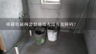 碳罐电磁阀会怠速熄火没有故障码？