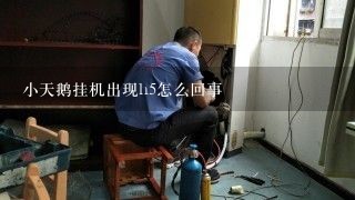 小天鹅挂机出现h5怎么回事