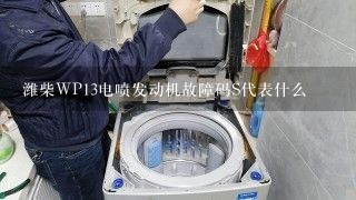 潍柴WP13电喷发动机故障码S代表什么