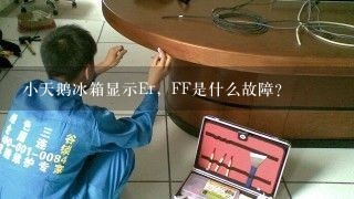 小天鹅冰箱显示Er，FF是什么故障？