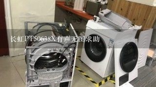 长虹PT50638X有声无图求助