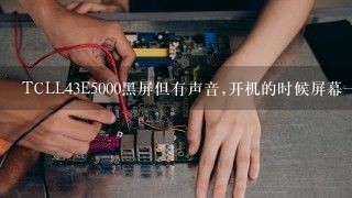 TCLL43E5000黑屏但有声音,开机的时候屏幕一闪，后面就没图像有声音，今天维修的过来说屏幕坏了需要更换