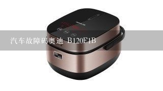 汽车故障码奥迪 B120F1B