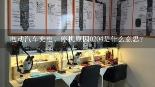 电动汽车充电，停机原因0204是什么意思？