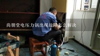 尚朋堂电压力锅出现故障怎么解决