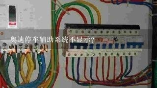 奥迪停车辅助系统不显示？